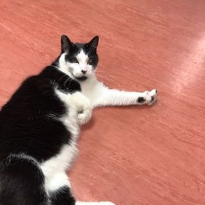 Meet your Posher, Randi